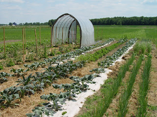 Merry Lea Agroecology Blog: Visit to Clay Bottom Farm near Goshen Indiana