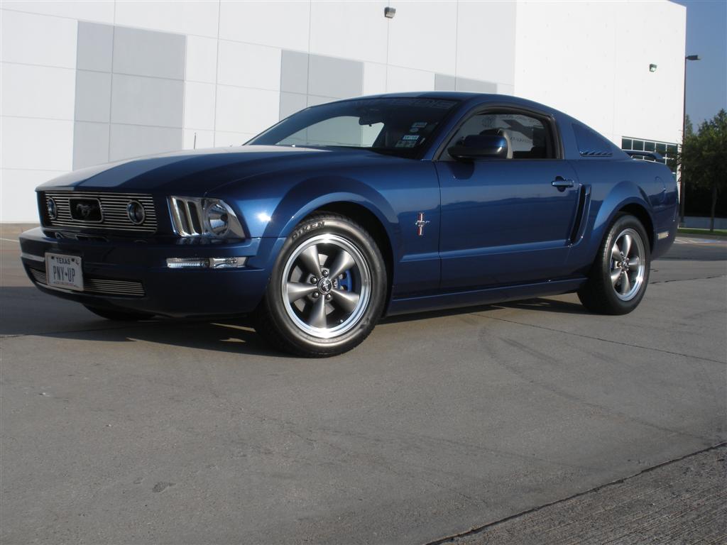 2006 Ford mustang stampede edition #3