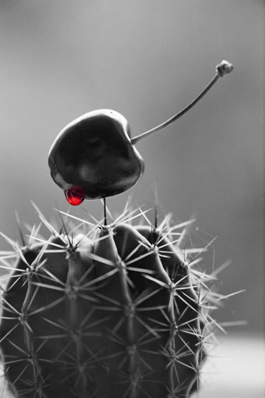 [pizdaus_Killing+me+softly.jpg]