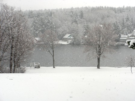 Pleasant Pond - Mandy's Pool