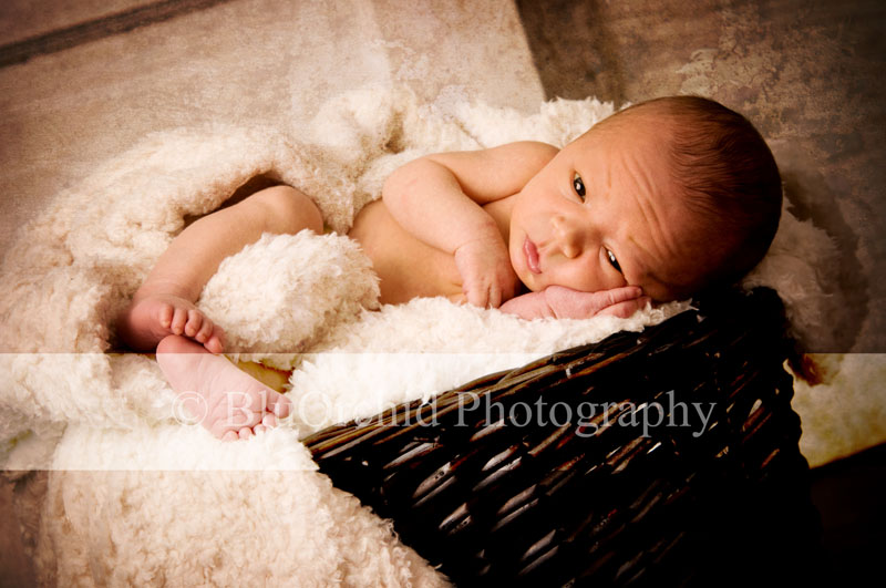 [Memphis-Baby-Photographer-BluOrchid-Photography-Marion-AR-LJ11.jpg]