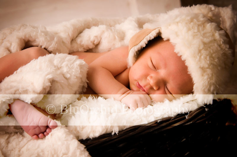 [Memphis-Baby-Photographer-BluOrchid-Photography-Marion-AR-LJ10.jpg]