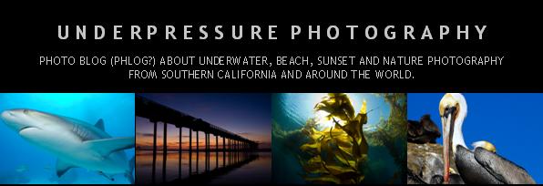 Underpressure Photography - Blog about underwater and nature photography