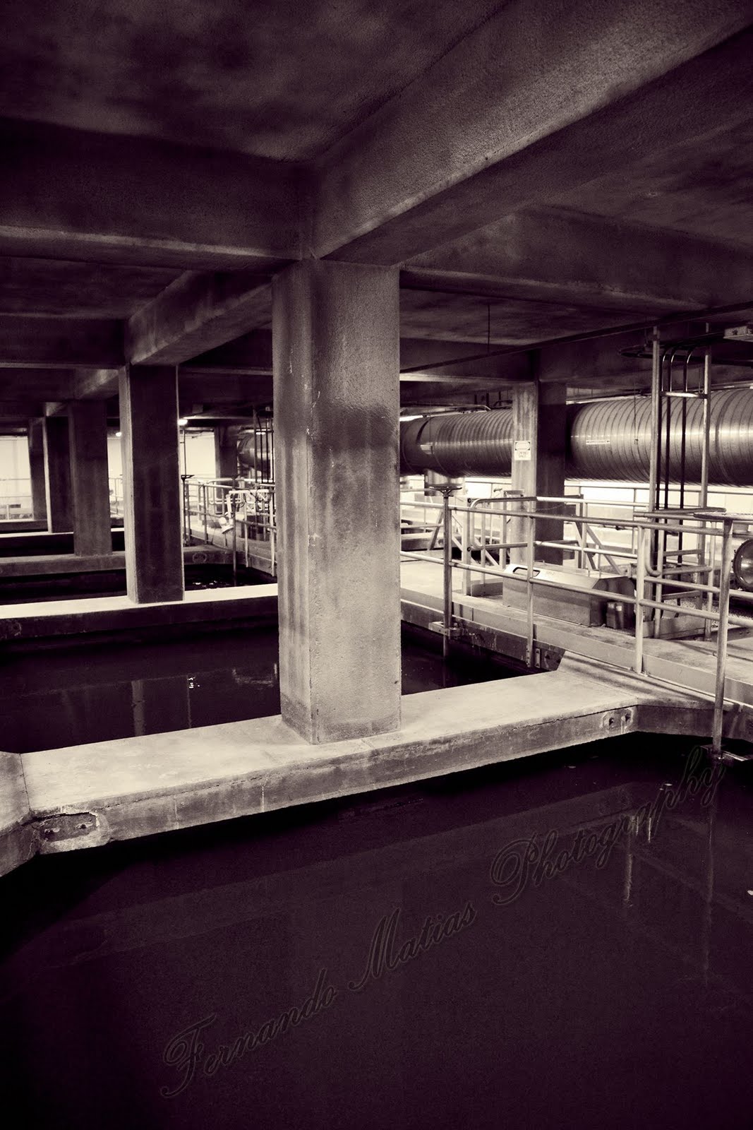 Fernando Matias Photography Ottawa Ontario Ottawa Wedding