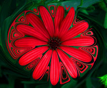 Esta flor roja también es bonita...