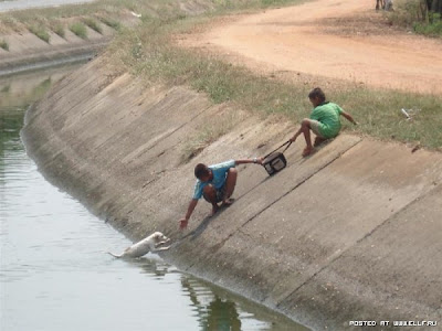 Kids holding together to save dog from canal