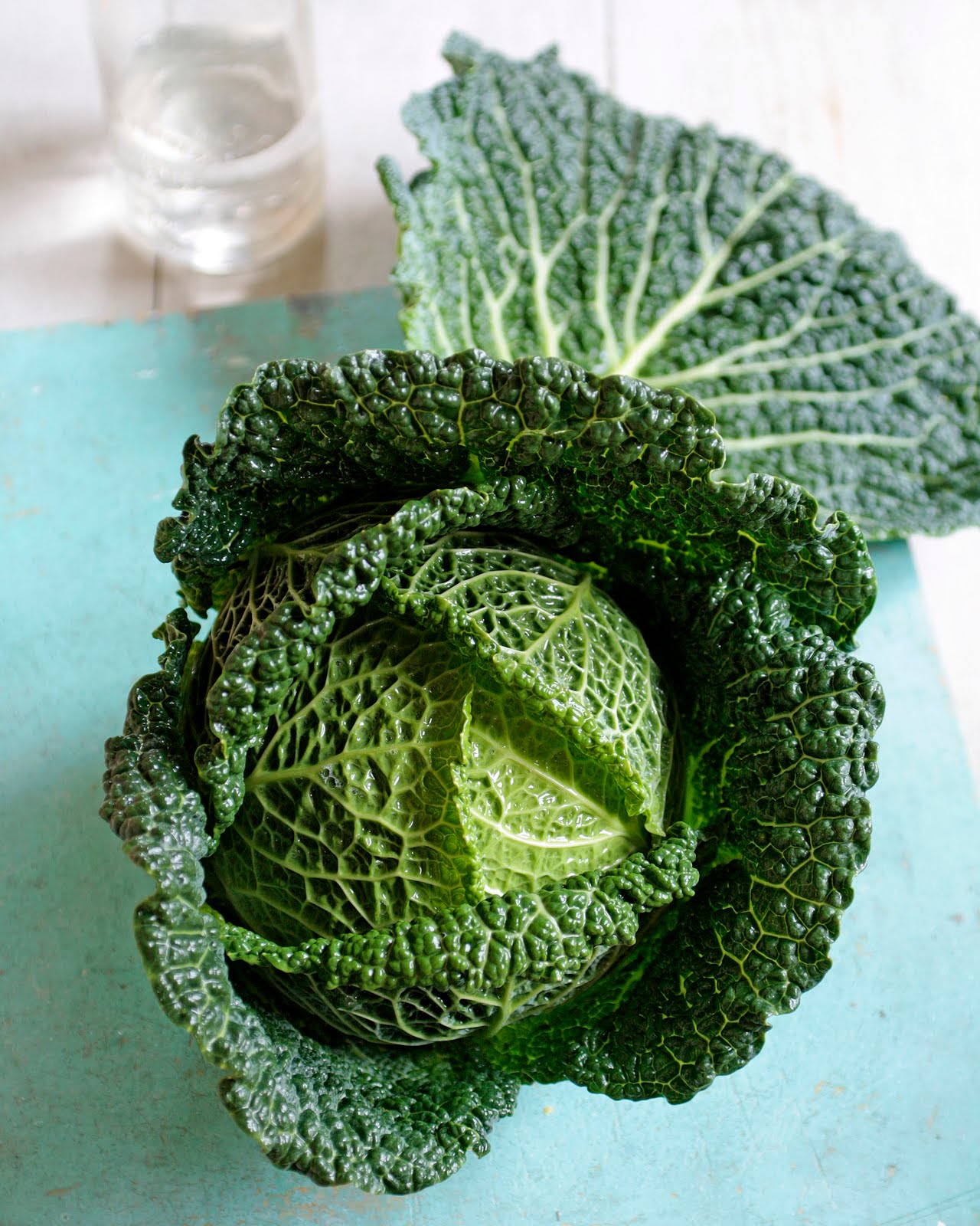 appledrane Savoy cabbage