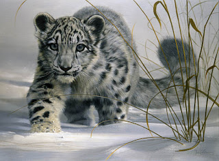 l19f_snow_leopard_cub.jpg