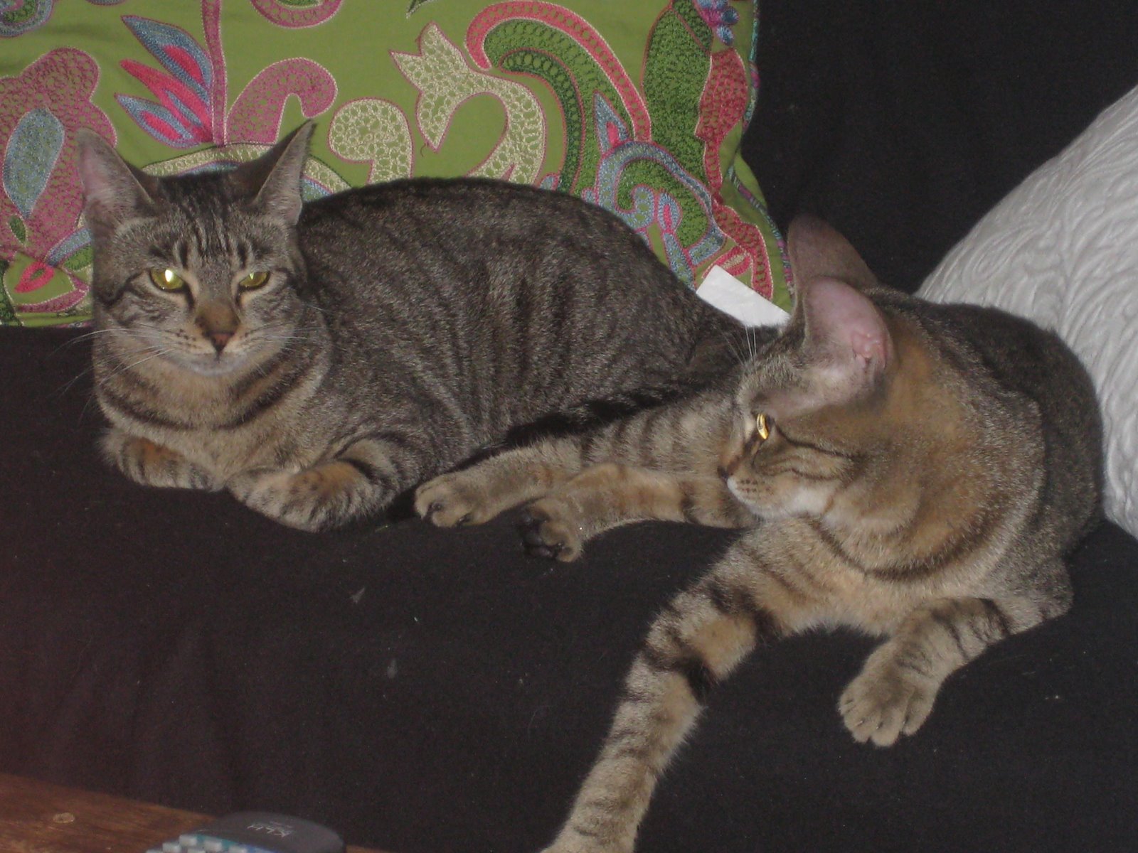 [bridgitte+and+mia.JPG]