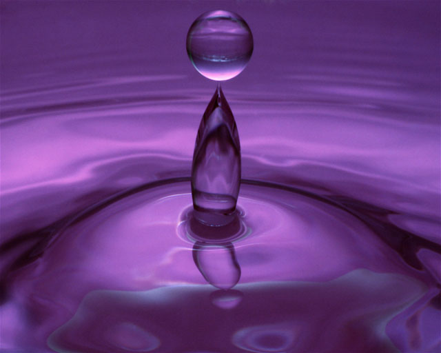 [purple_water.jpg]