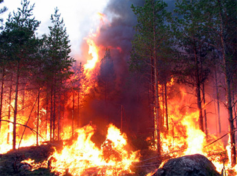 when facebook open in bangladesh