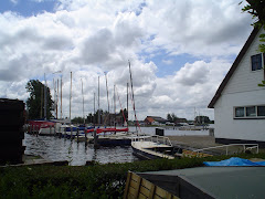 Primavera en Zuid Holland