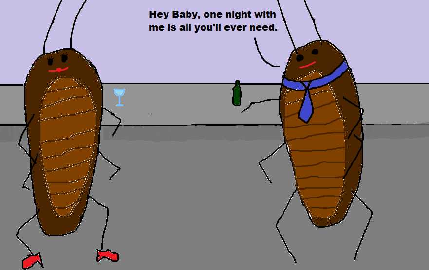 One Nerdy Sheep: Seven disgusting facts about cockroaches