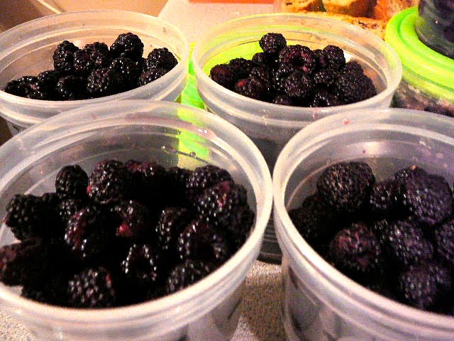 The Hidden Pantry: Black Raspberries!! A find!!