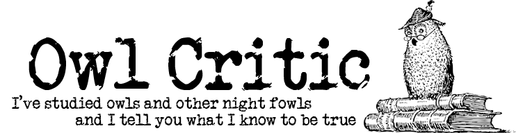 blog experimentation