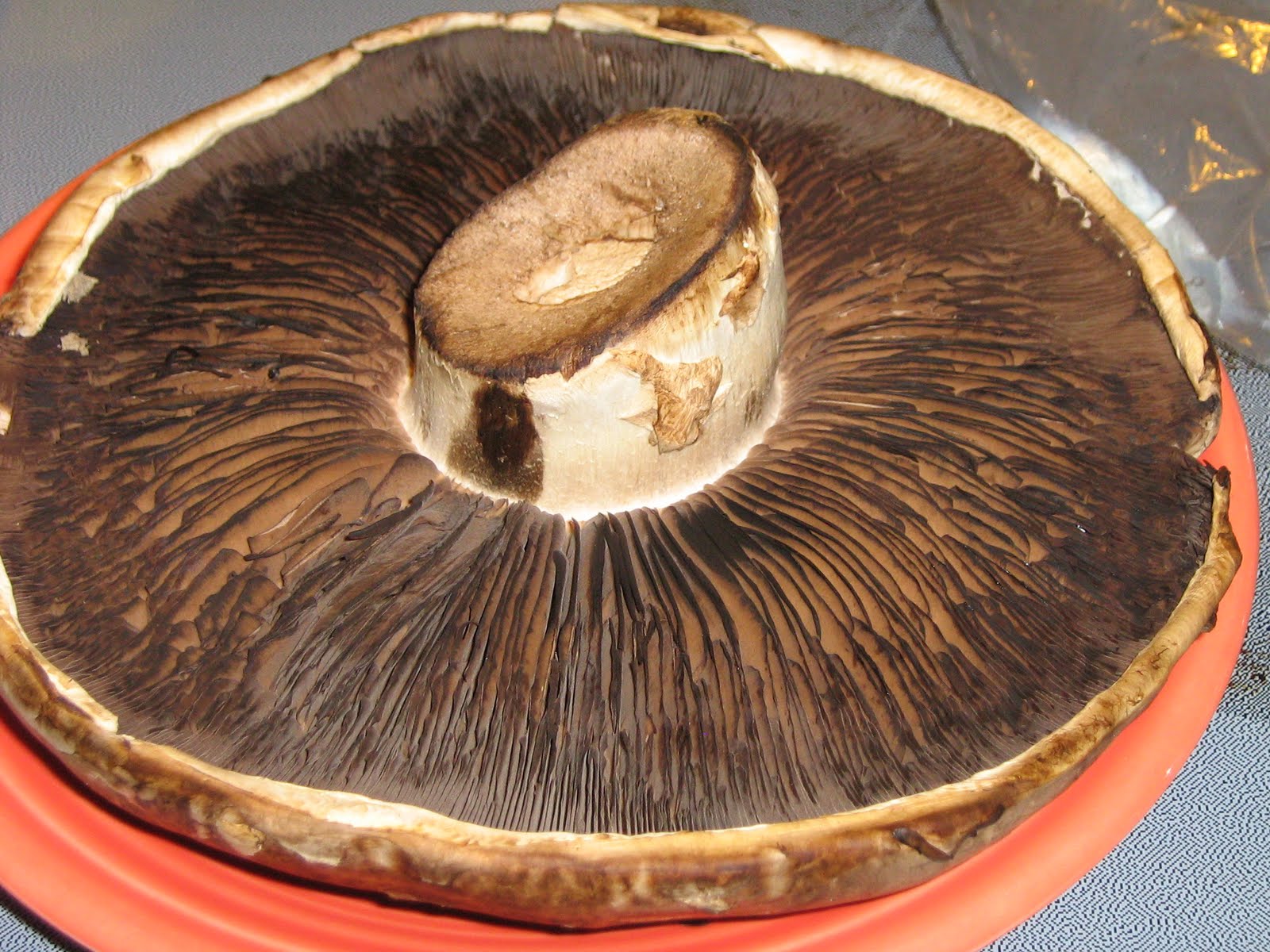 Pretty Tasty Reviews Giant Portabella Mushrooms Invade Ottawa!