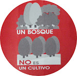 UN BOSQUE