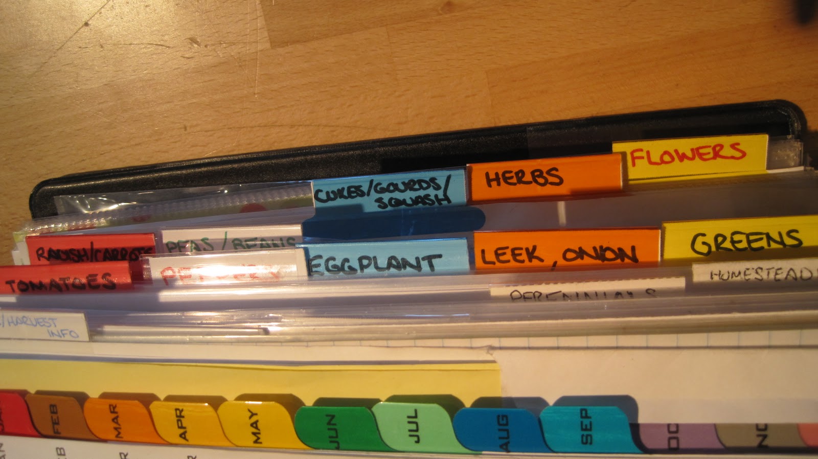 garden now - think later! : How do YOU store your seeds?