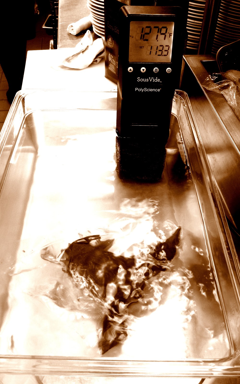 DORK CHOCOLATE Sous vide chocolate tempering