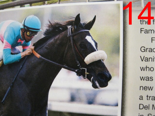 Noble Farms Custom Saddlery: Tack Instructions: How to Make a Shadow ...