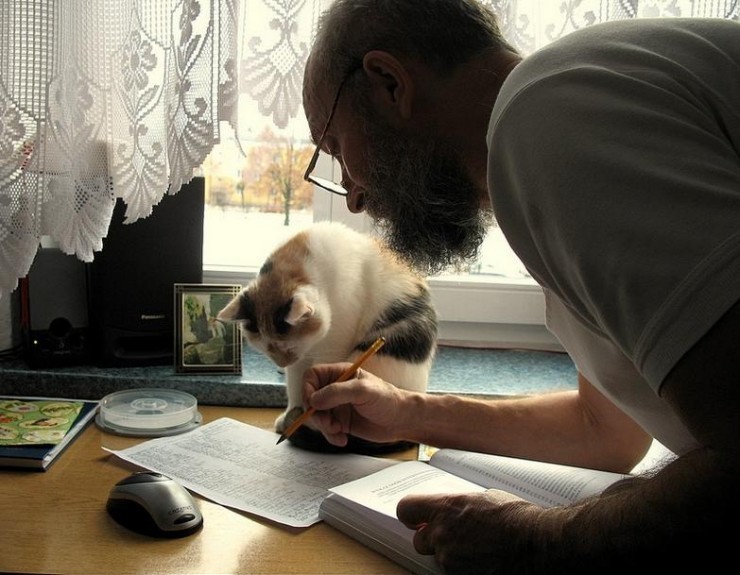 [gatos20080328_24.jpg]