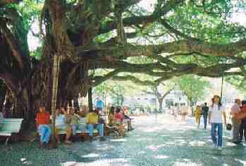 [praca-xv-de-novembro-florianopolis.jpg]