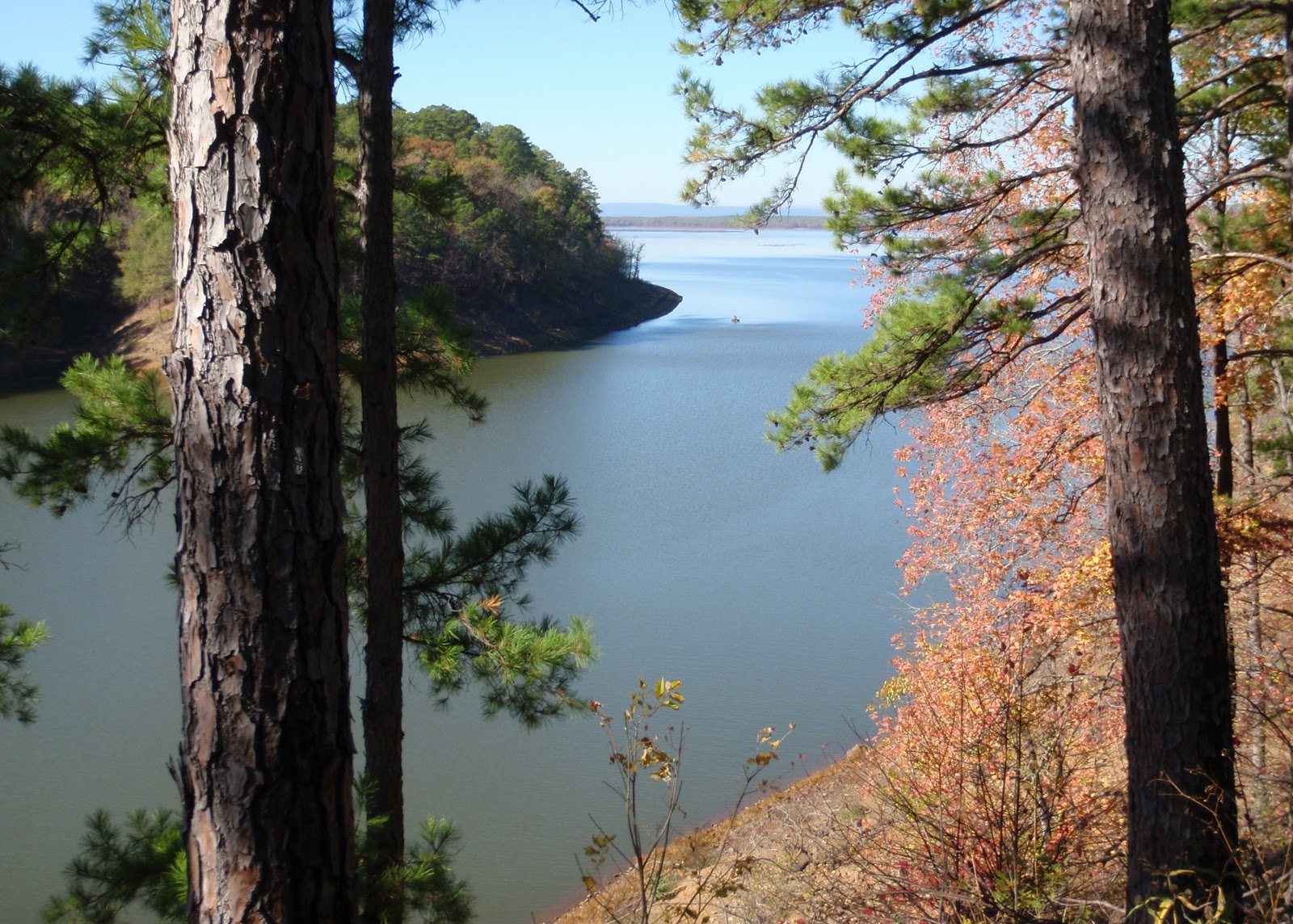 Arkansas Adventurer Quachita Mountains, near Mena, AR
