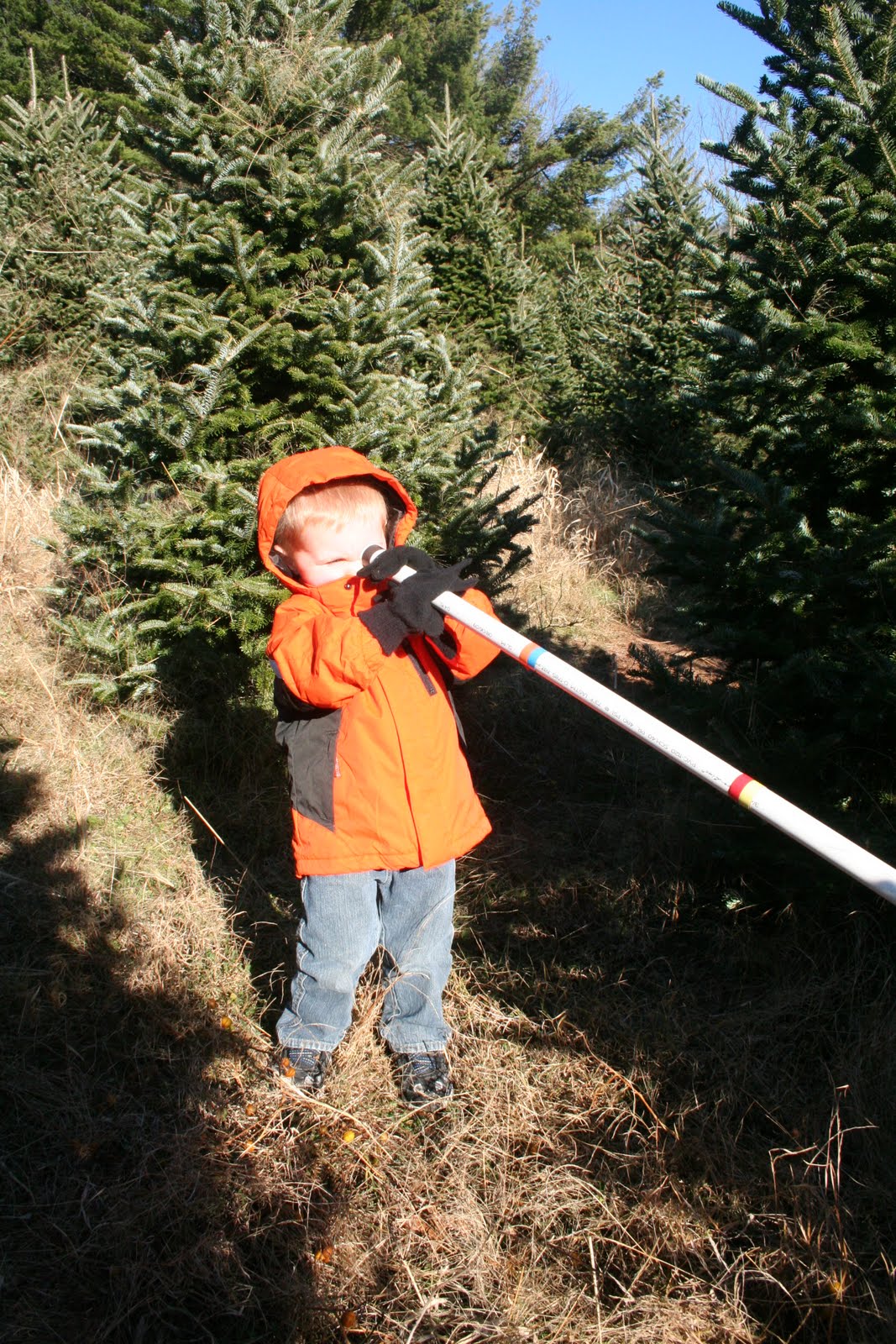 The Fleming Family Off to Papa Goats Tree Farm