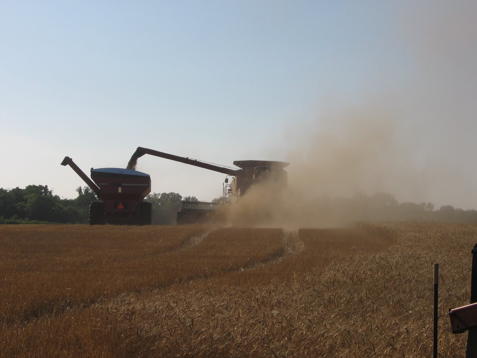 On the Road with Melchert Harvesting Pictures