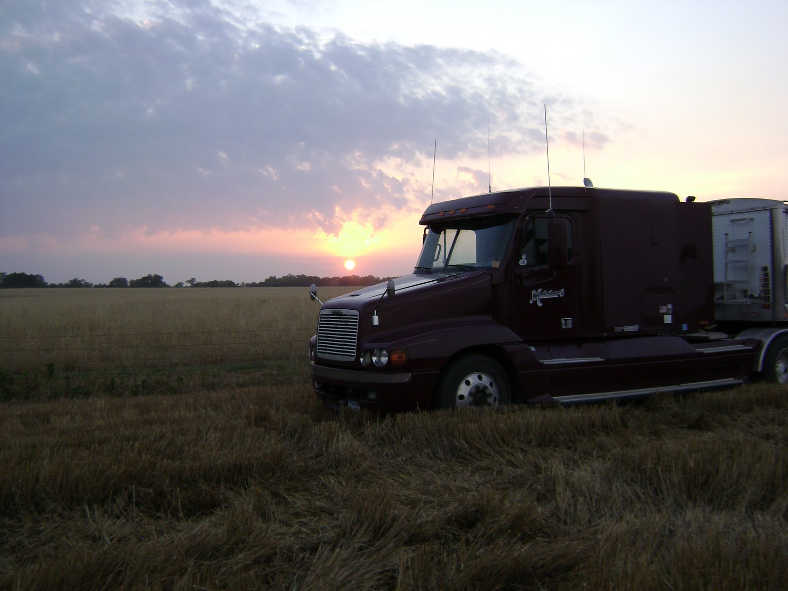 On the Road with Melchert Harvesting Combining Wheat