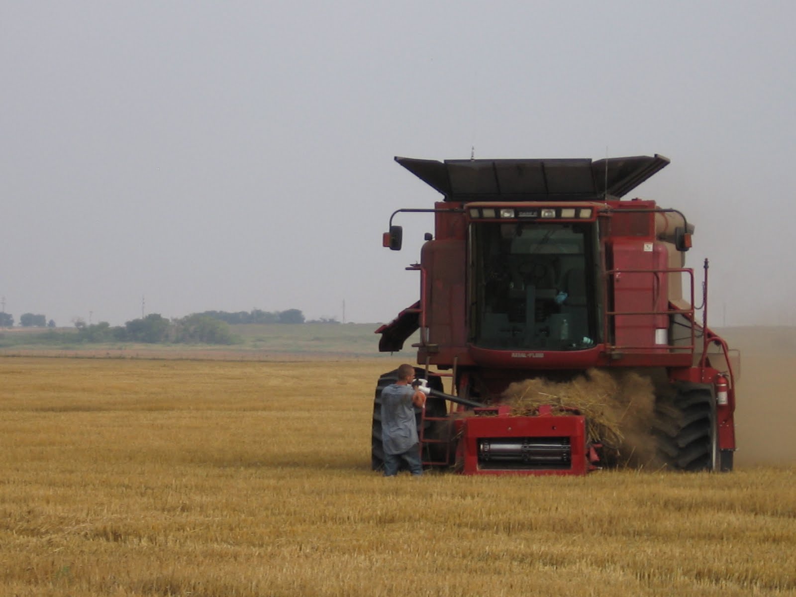 On the Road with Melchert Harvesting Combining Wheat