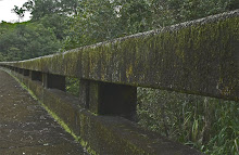 Stone Bridge, Big Island Hawaii By R.E. Younger
