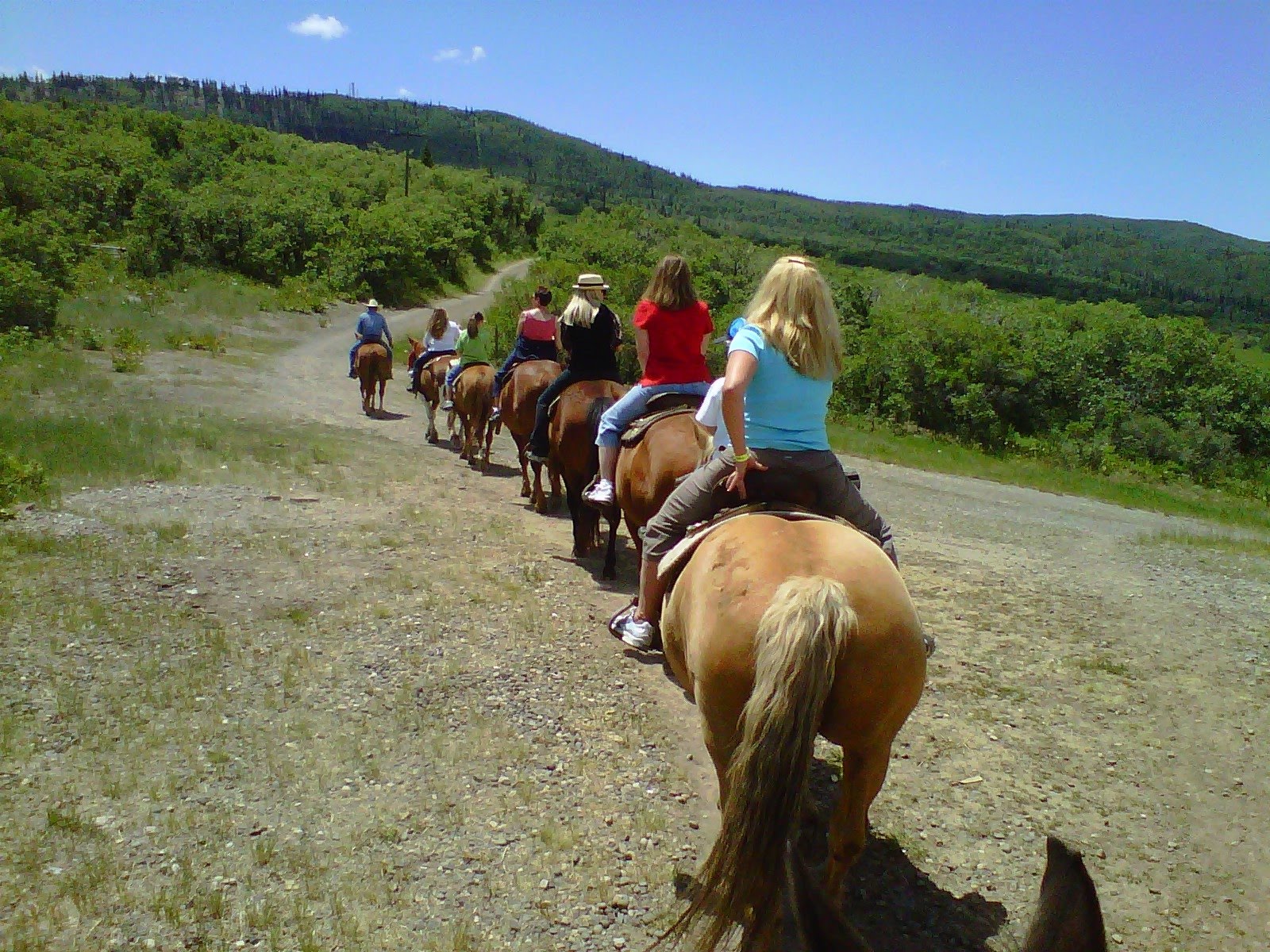 Drechsler Family Adventures Horseback Riding in Steamboat