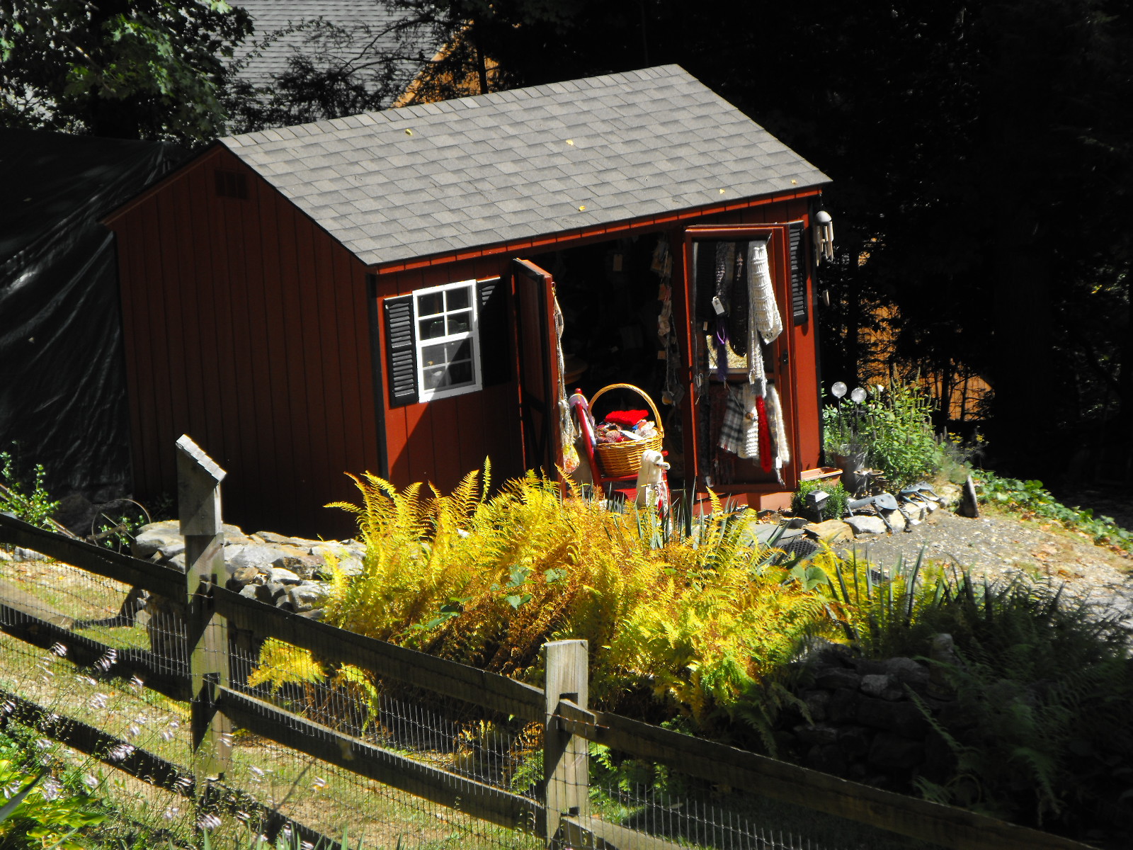 PamsFiber from Dream Come True Farm Farm fun weekend National Alpaca Weekend