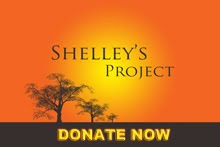 Want to Help?