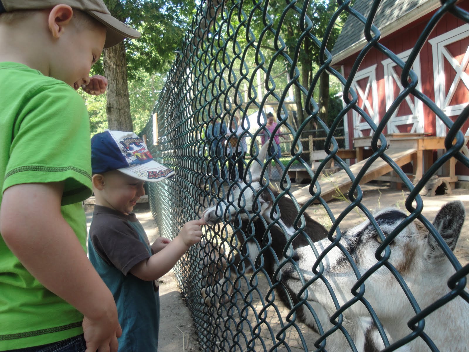 The Fine Family The Cape May Zoo