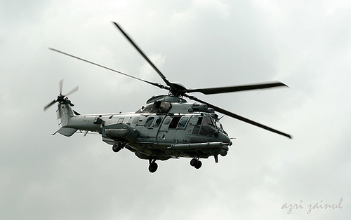[EC725.jpg]