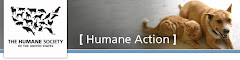1/14/10 Click on pic.   Help Create More Humane Laws For Ky Dogs and Cats