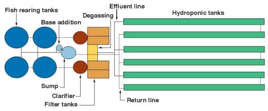Uvi aquaponics course picture