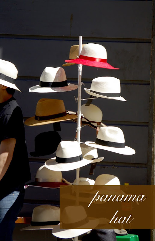 panama hat palm. This traditional brimmed hat