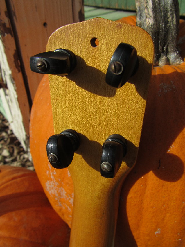 c.1920 Sandstrom Burled Redwood Banjo Ukulele