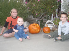My 3 Little Pumpkins!!!