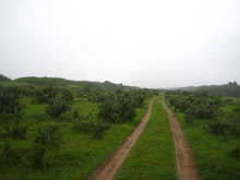 road out of Chicahua