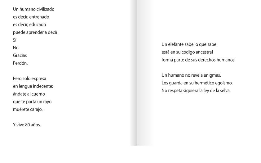 Voz de mujer: ELEFANTE de TERESA CALDERON