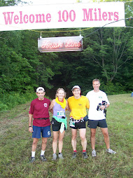 vt 100 2009 finish