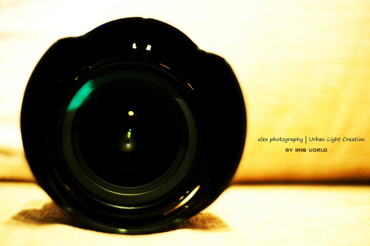 alexlorphotography