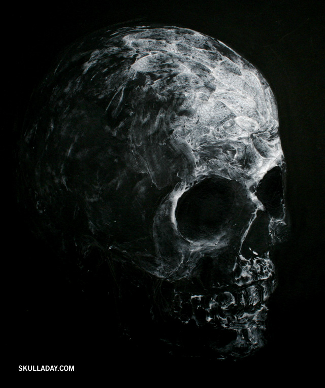 [skull289.jpg]