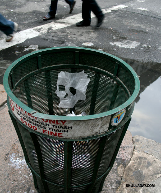 [skull230.jpg]