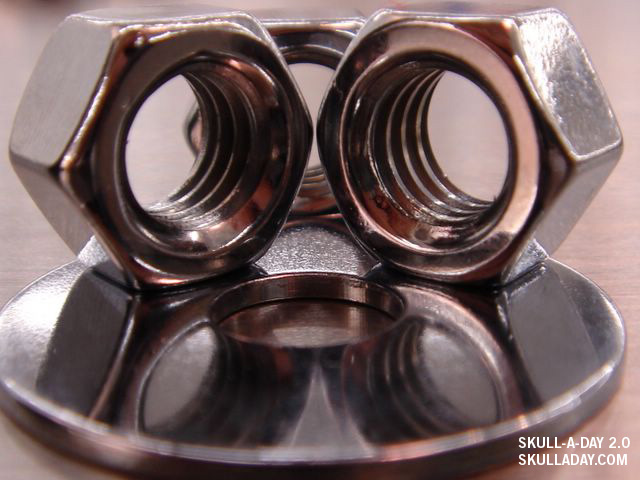 [submission278a.jpg]