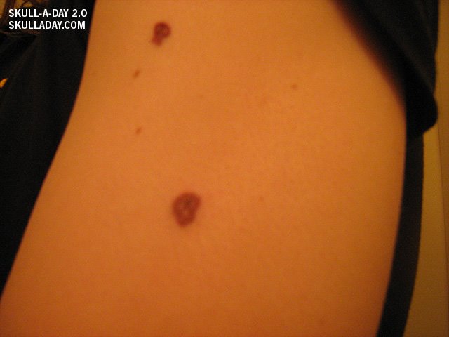 [submission280b.jpg]